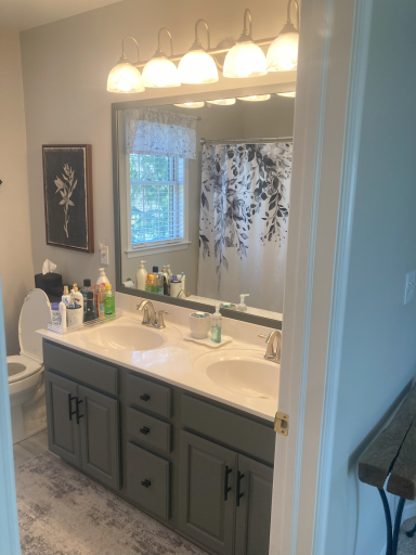 Mirror trim